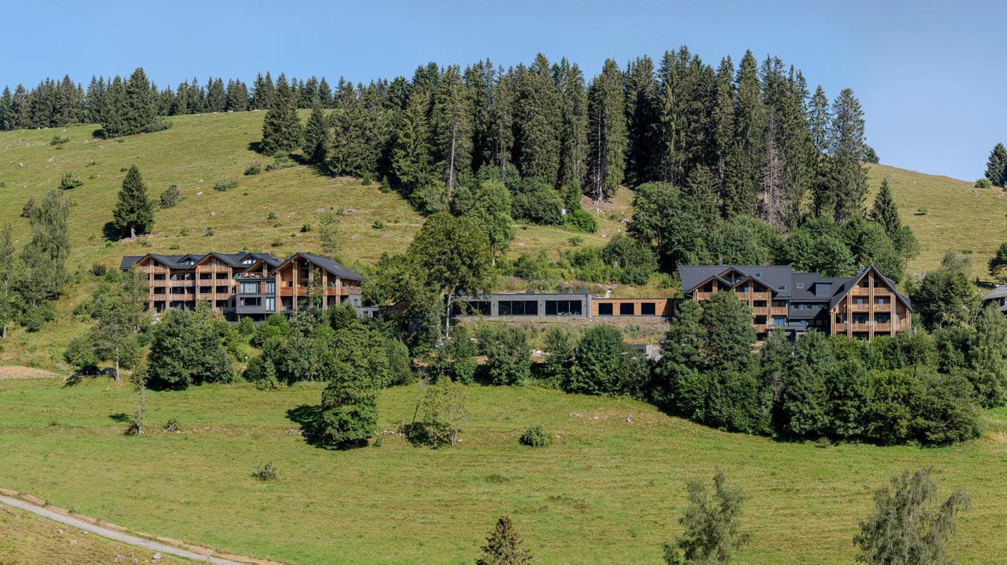 Black Forest Lodge Feldberg  Dış mekan fotoğraf